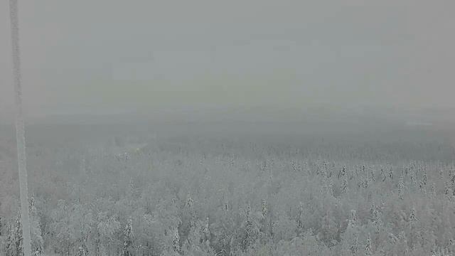 Зимний лес 4 смотреть онлайн