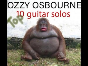 Zakk Wylde / Ozzy Osbourne  - Top 10 guitar solos