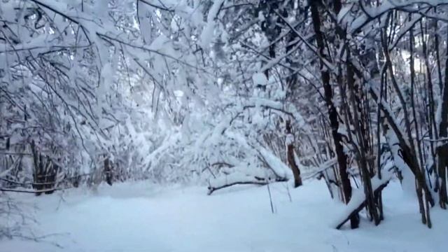 На снегоходе в -23 ч1 смотреть онлайн