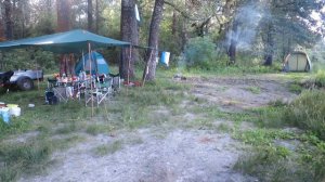 Усть Чумыш 2017