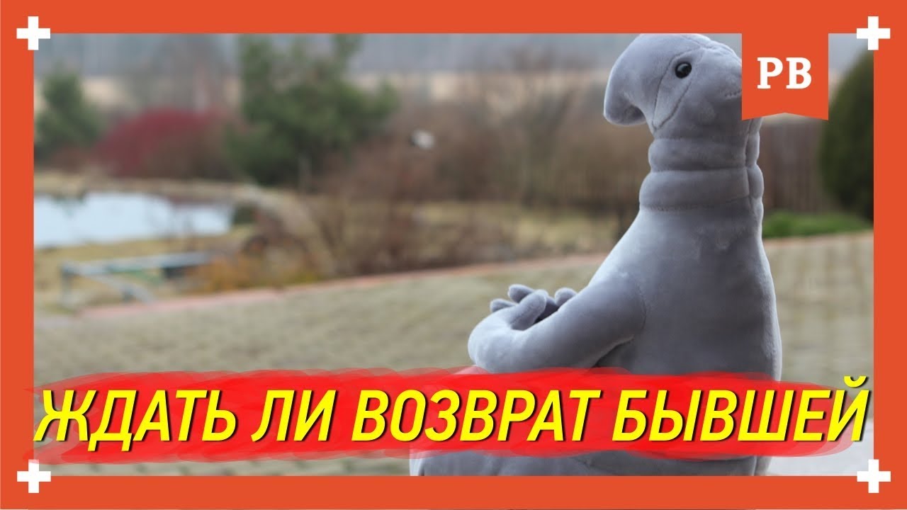 Ждать ли возврат бывшей девушки? Возврат жены. Как вернуть бывшую без ожидания