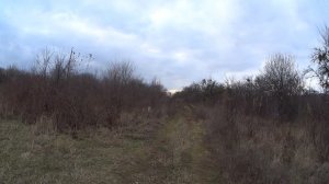 Охота Заяц и гончая Краснодарский край Крымск 04.12.2019