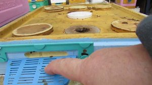 ужасы на пасеках в России, каждую весну убирать снег у пчел , а ведь можно и не убирать