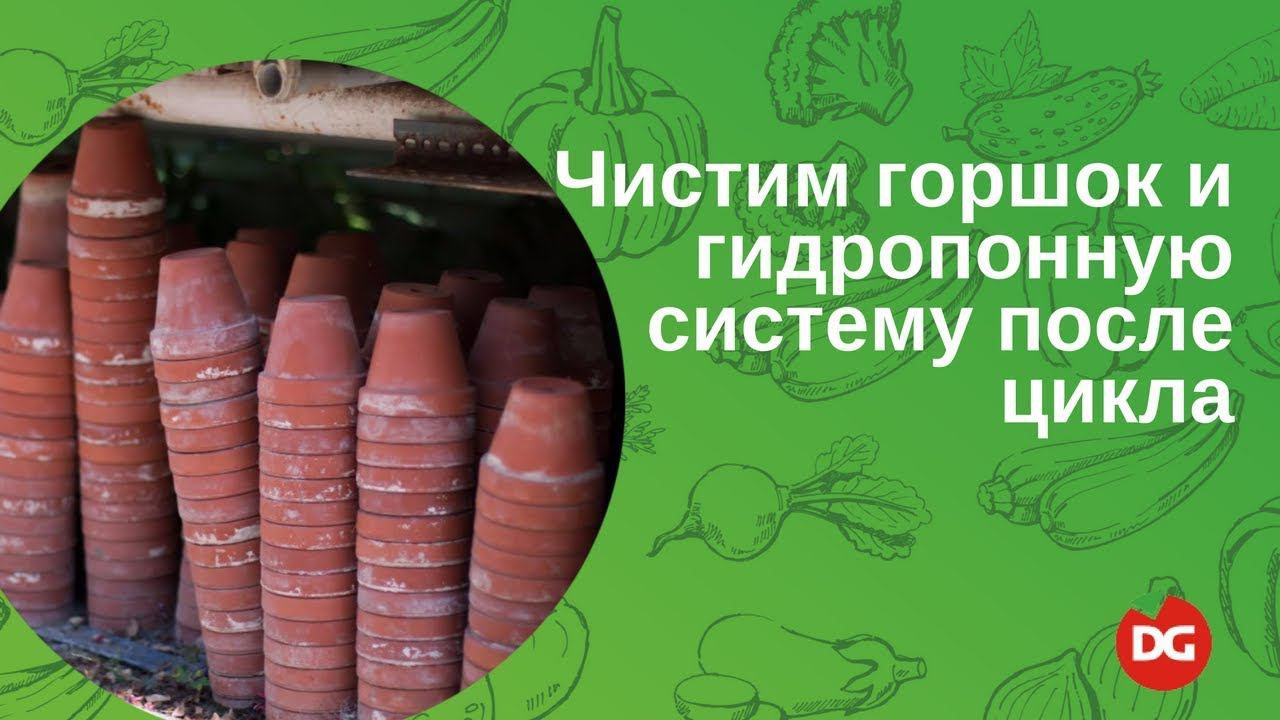 46 Как прочистить гидропонную систему и горшок после цикла