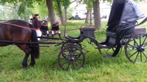 Elegant carriage Baron Manor/Шикарная повозка барона в усадьбе