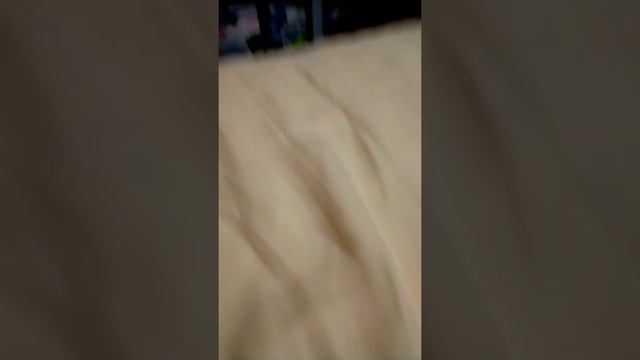 Roblox evil (Roblox resident evil) ep 1 смотреть онлайн