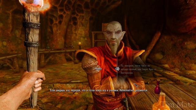 Skyrim ٠ Реакция Нелота на Архимага Коллегии Винтерхолда