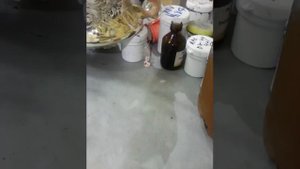 самодельная полировальная паста для фар