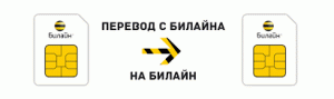Как переводить деньги с билайна на билайн.