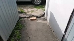 сдаём пластик, результат, цены....