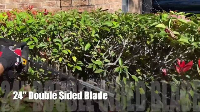 RedMax Hedge Trimmer CHTZ600 смотреть онлайн