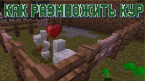 Как размножить кур в Майнкрафт