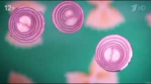 Заставка "Первый Канал и Красный Квадрат" (Повара На Колёсах, Первый Канал, 2023-н.в)