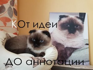 От идеи до аннотации