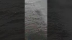 Поезд 127 красноярск адлер (сызранский мост)