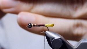 Нимфа Ручейник в домике - вяжем за 5 минут! Мушка-пятиминутка для весенней и осенней рыбалки