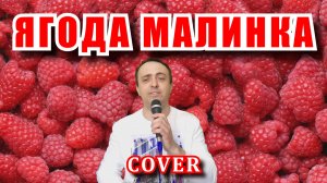 Ягода малинка - Хабиб (cover)