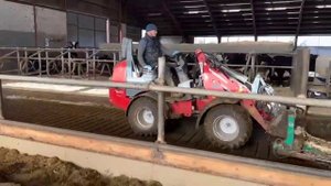 Сельхозтехника для ферм #коровник #оборудованиедляфермы #животноводство #доильноеоборудование #крс