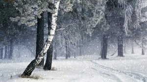 Футаж. Зимний пейзаж 99