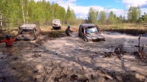 Южская топь 2022  д. Залесье.