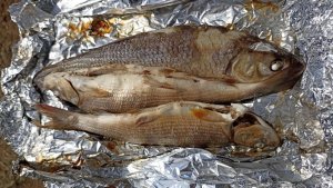 Простое и эффективное приготовление рыбы на рыбалке