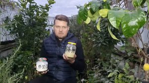 Гортензия. Весна ?Чем подкормить? ???Готовим к шикарному цветению ?