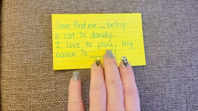 Scavenger Hunt for Every Single Gabby's Dollhouse Plushie! SO CUTE!! смотреть онлайн