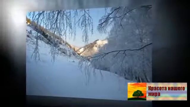 Алтай зимой  Привлекательный зимний алтай
