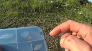Рыбалка на жука и кузнечика.Рыбалка на спиннинг.