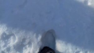 Воспоминание...рыбалка на р. Уссури. Зима 2016 год. Ловля линка.