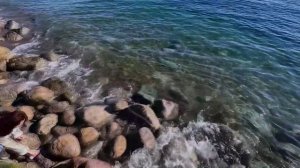 Мускат розовый