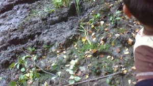 на квадроцикле stels 300