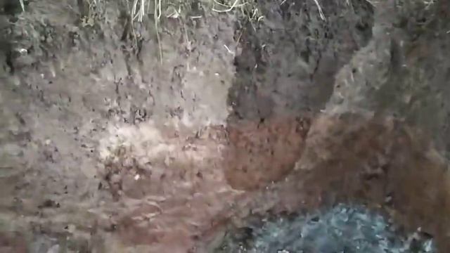 Поездка домой, копка овощной ямы