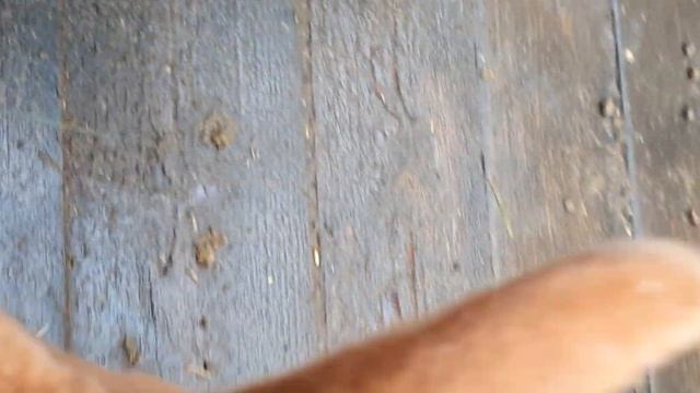 Парк Сказка ( Крылатское)(2) смотреть онлайн