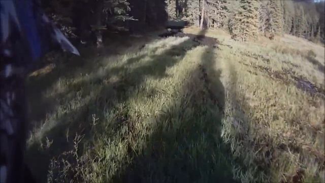 Grizzly 700's vs RZR XP 900 in a Swamp смотреть онлайн