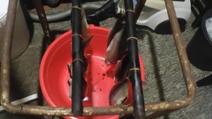 Скумбрия холодного копчения в домашних условиях!