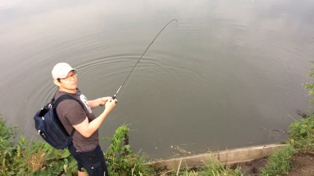 Ловля сома на джиг. Станица Выселки.