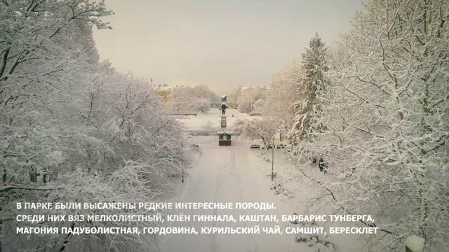 Взгляд сверху - "Сказочный лес" в Комсомольском парке Череповца