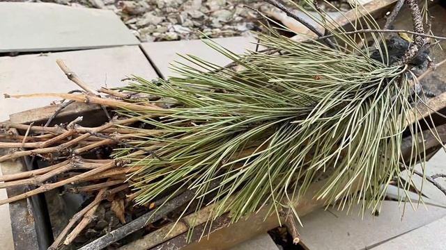 Молотый шашлык !!!!!??? смотреть онлайн