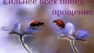 ХОРОШЕГО ДНЯ !!!☀️ БОЖЬЕЙ ПОМОЩИ И БЛАГОСЛОВЕНИЯ!!!??? Христианское пожелание
