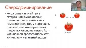 Медицинская генетика. Лекция 3. Закономерности наследования признаков