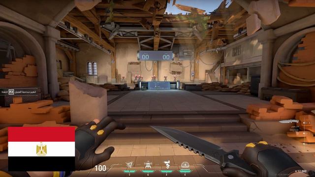 Valorant - Killjoy's Ultimate in ALL Languages смотреть онлайн