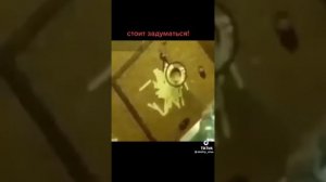 Эксперимент с мышами. Стоит задуматься.