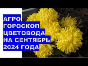 Агрогороскоп цветовода на сентябрь 2024 года Agrohoroscope for a florist for September 2024