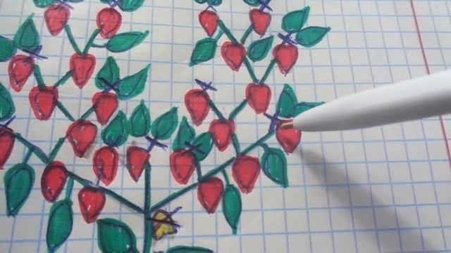 КАК ФОРМИРОВАТЬ ПЕРЕЦ В  2 СТЕБЛЯ? Ольга Чернова.