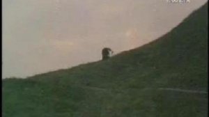 Зеркало для героя Родители