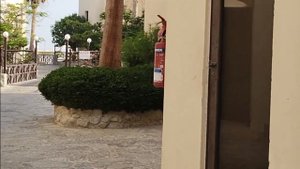 Рас-эль-Хайма. Cove Rotana Resort & Spa 5*. Прогулка в 7 утра.