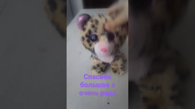 😁🐆