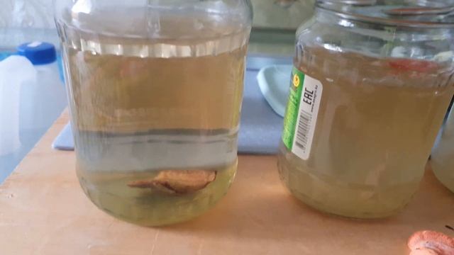 Стартовый корм для мальков! Как получить быстро Инфузорию туфельку, 3 способа смотреть онлайн