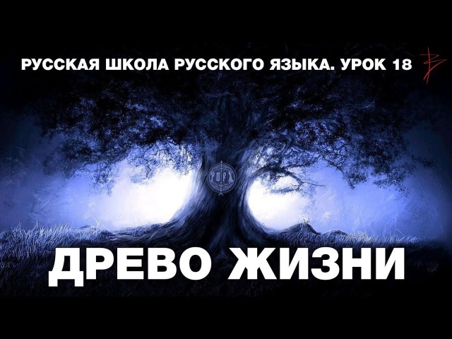 Урок 18. Древо жизни. Великий Новгород - Русская школа русского языка. Виталий Сундаков